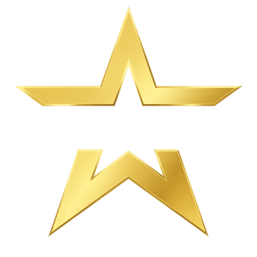 FAVMICROSTAR88